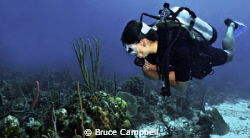 Lu was viewing all of the corals and sponges as I took th... by Bruce Campbell 